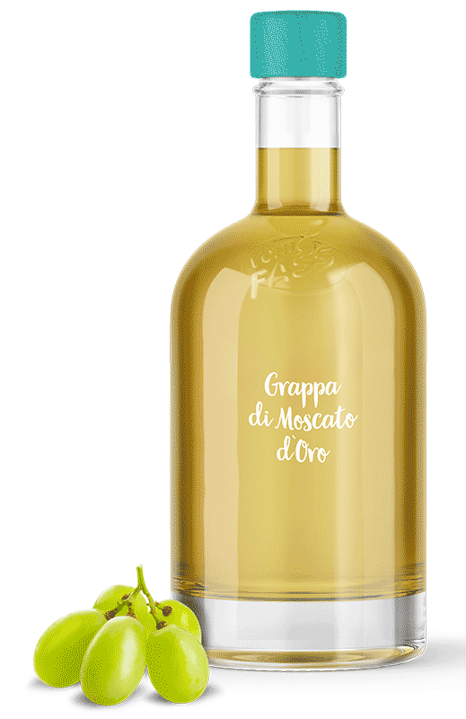 Grappa di Moscato d`Oro